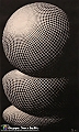 VBS_5024 - Mostra Escher